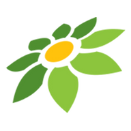 LINK DEWATOHEL
